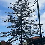 Valhalla Madeira Apartements * Funchal (Madeira)